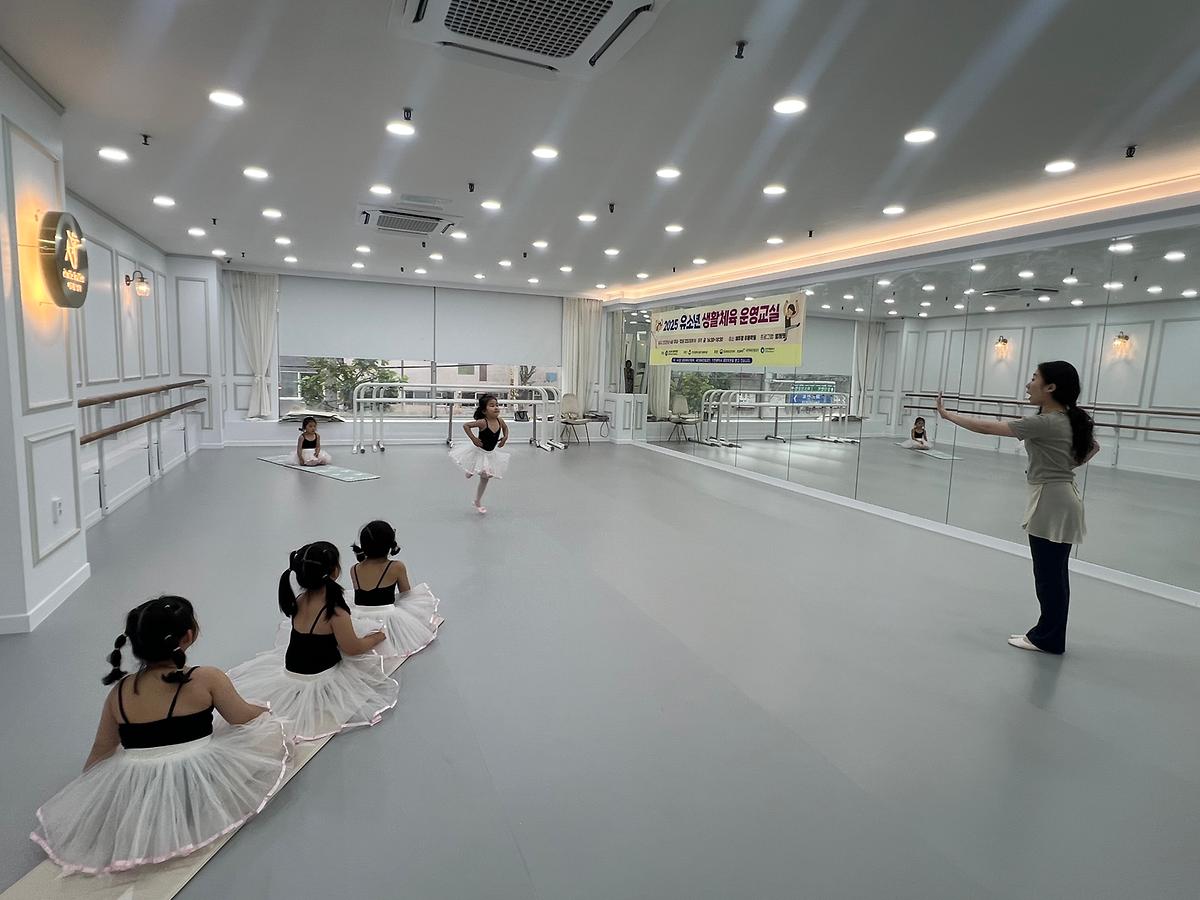 발레핏3.jpg 이미지