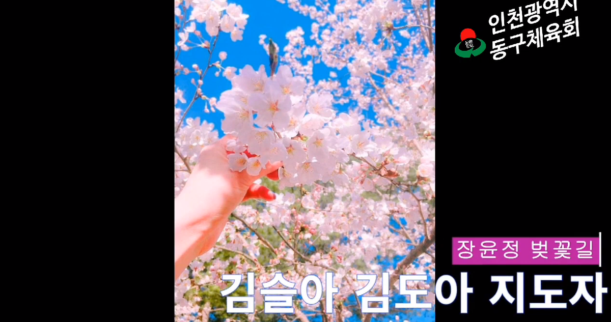 근력운동 - 근력음악체조 사진